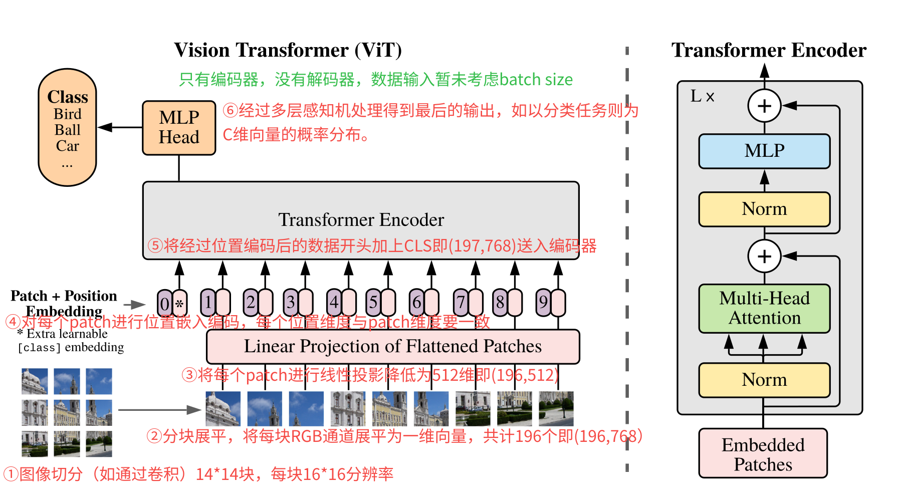 解读ViT：Transformer 在视觉领域如何落地